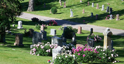 Dutchman Cemetary